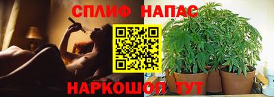 Альфа ПВП Будённовск