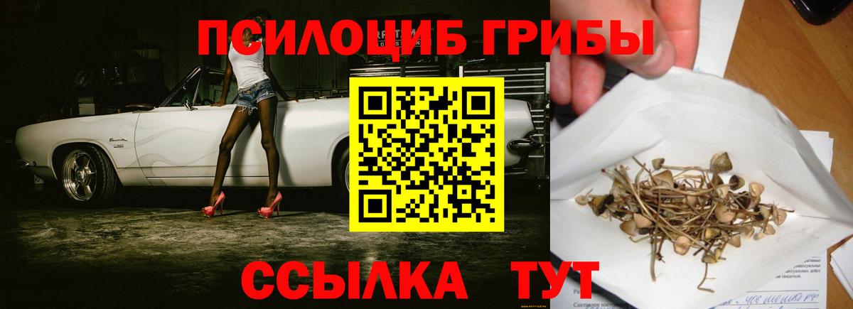 Южноуральск  Псилоцибиновые грибы прущие грибы  купить наркоту  Вход с VPN  Галлюциногенные грибы Psilocybine cubensis 